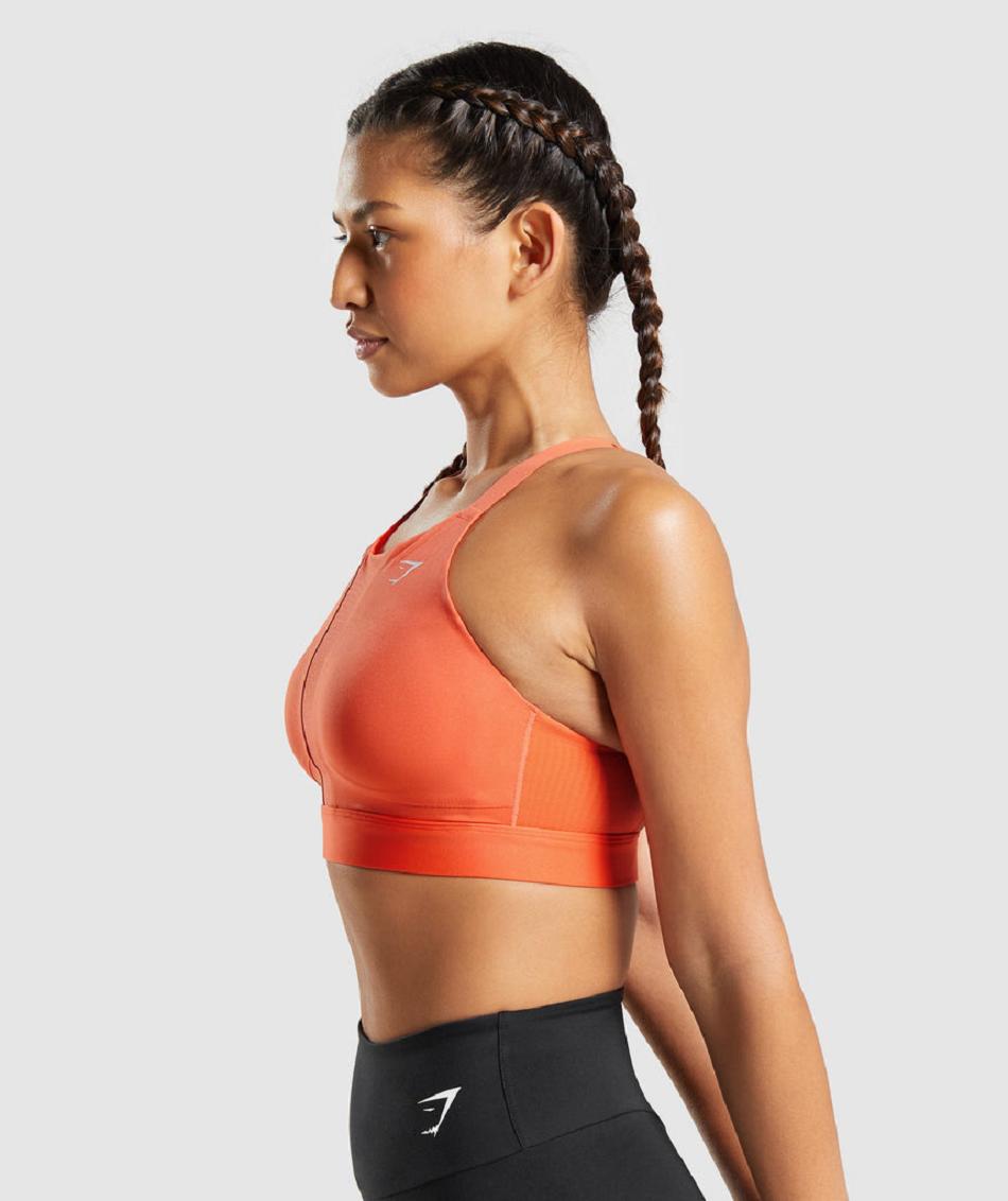 Sujetadores Deportivos Gymshark Mesh Neckline 2.0 Mujer Naranjas | CO 2109XYU